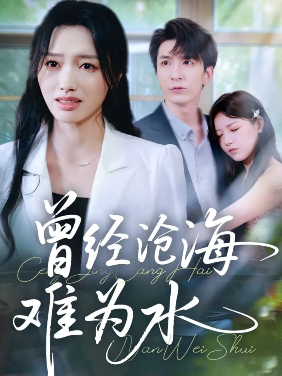 曾经沧海难为水 2025(全集)