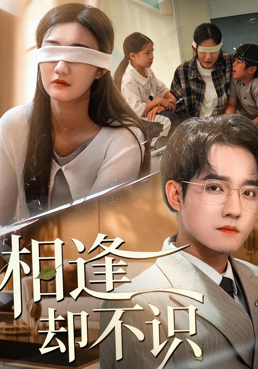 相逢却不识(全集)