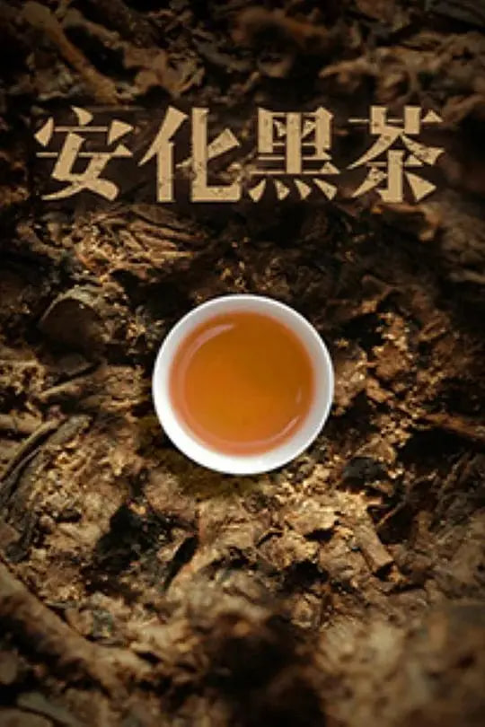 安化黑茶(全集)