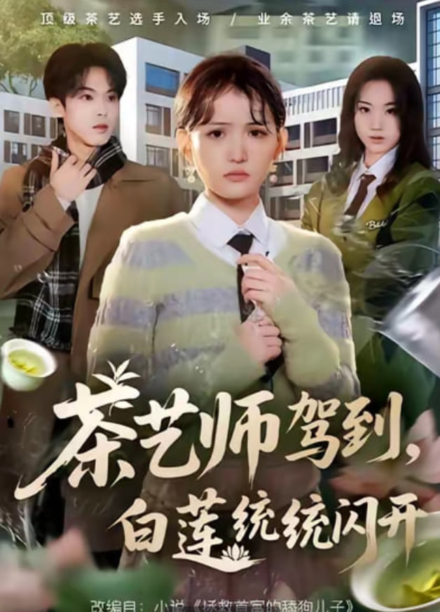 茶艺师驾到白莲统统闪开(全集)