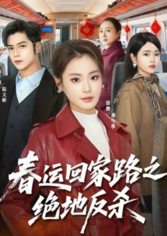 春运回家路之绝地反杀(全集)