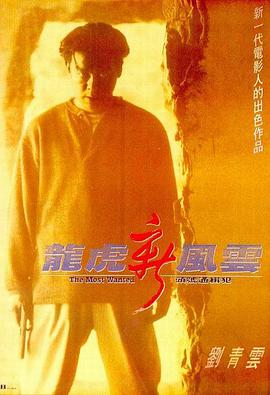 龙虎新风云(全集)