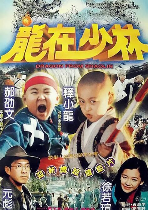 龙在少林(全集)