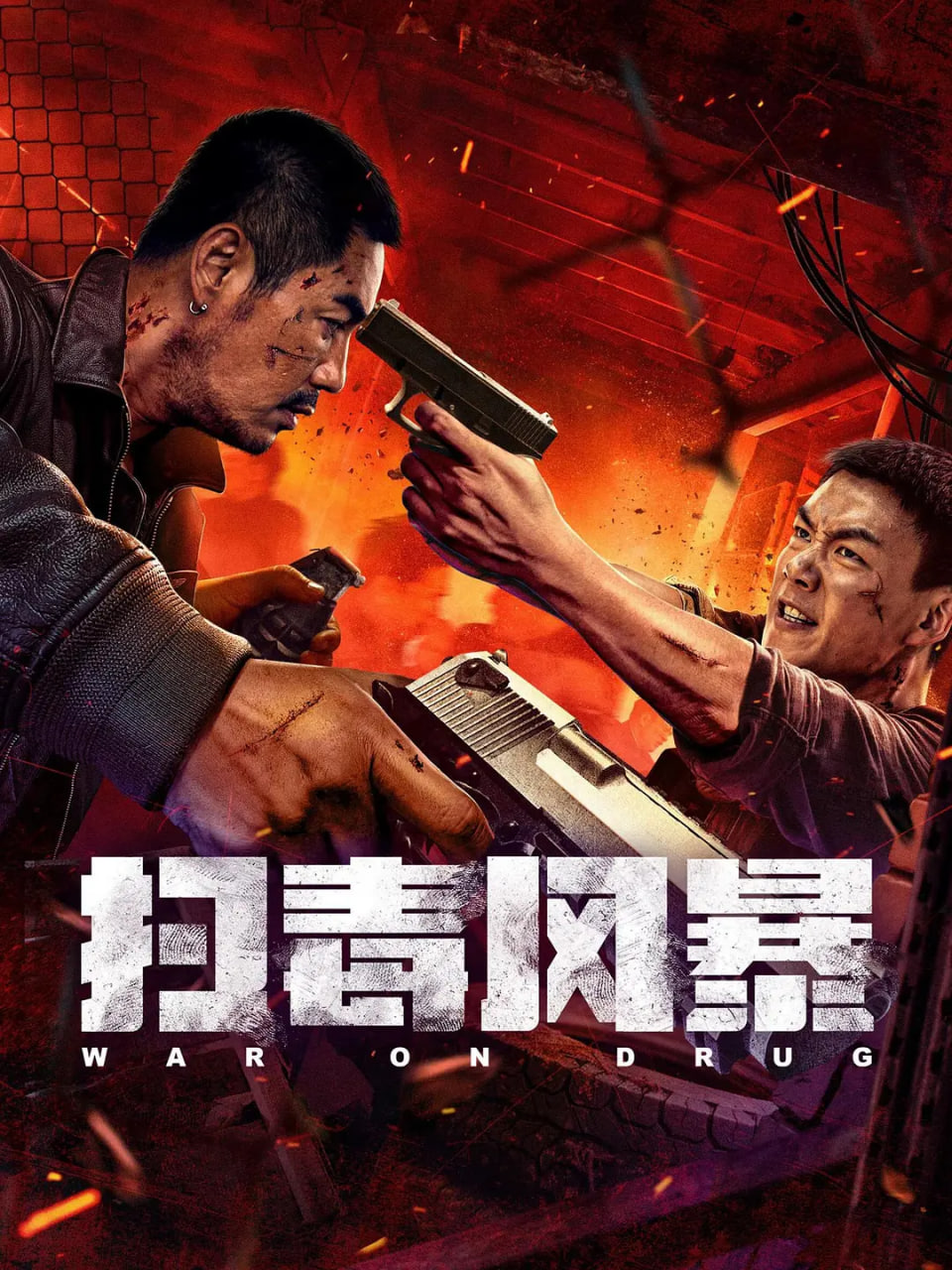 扫毒风暴(全集)