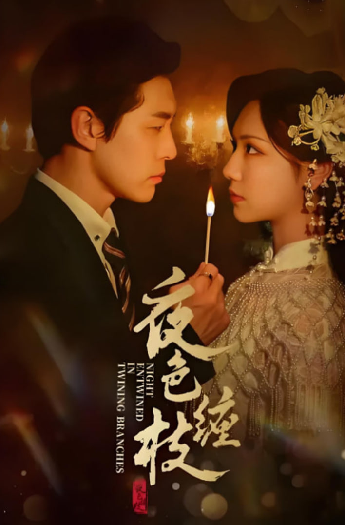 夜色缠枝(全集)