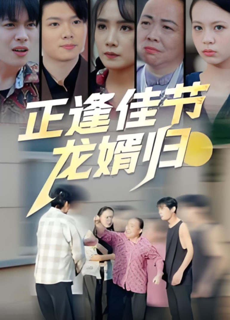 正逢佳节龙婿归(全集)